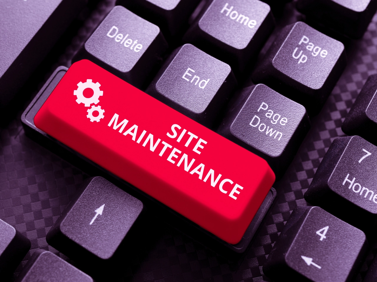 Website Maintenance